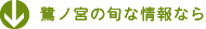 �I�X�X����m�{�X���|